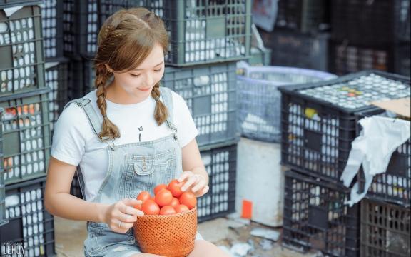 重庆市狗市场升级：品质更高的宠物用品供应商涌入市场。