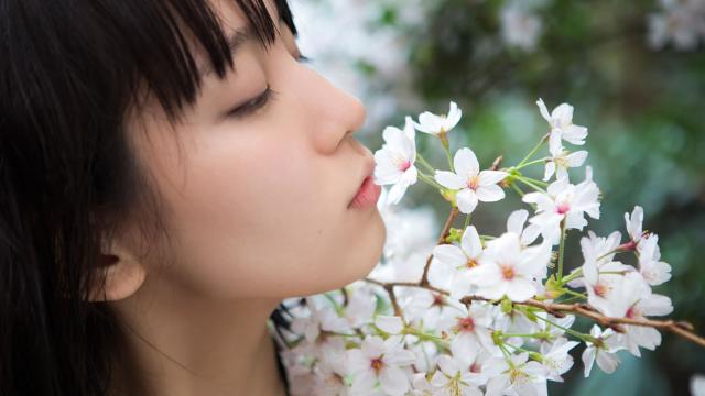 花八哥几月份出雏鸟(八哥鸟的笼养方法)