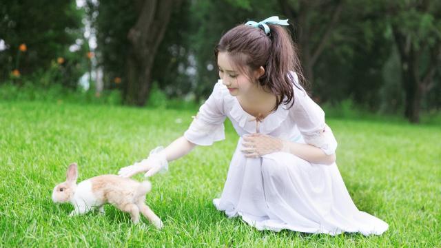 重庆宠物猫批发市场(重庆南坪宠物一条街)