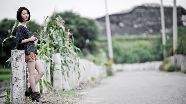 适应性强的狗狗种类推荐